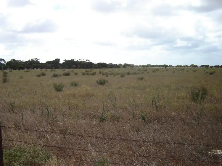 Fourth view of Homely rural property listing, 452 Morris Road, Tumby Bay SA 5605