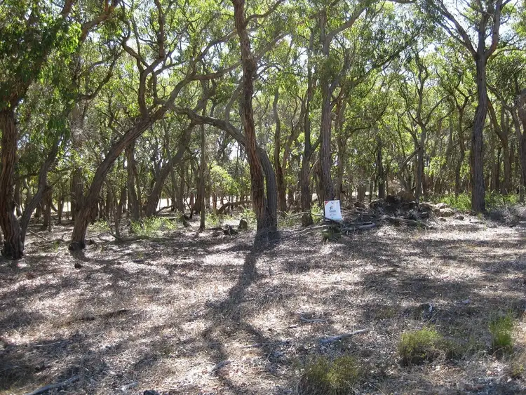 Third view of Homely rural property listing, Lot 55/16 Chester Road, Mount Barker WA 6324