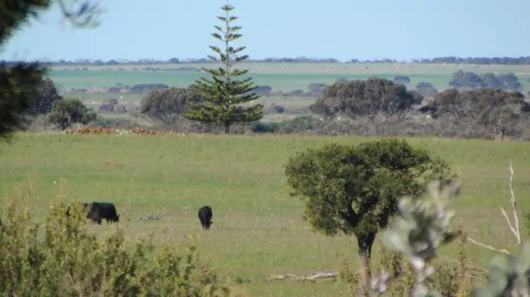 Second view of Homely rural property listing, Address available on request