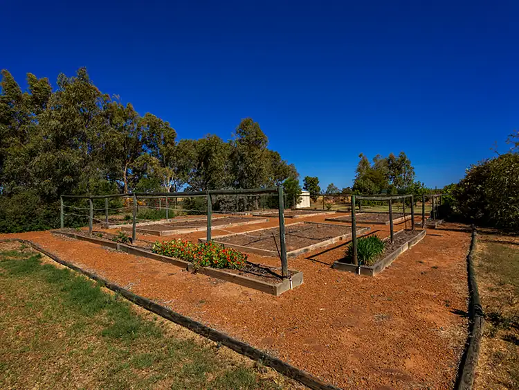 Sixth view of Homely rural property listing, 6521 Nangetty-Walkaway Road, Walkaway WA 6528