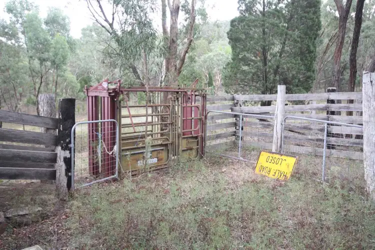 Fourth view of Homely rural property listing, 4725 Obley Road, Dubbo NSW 2830
