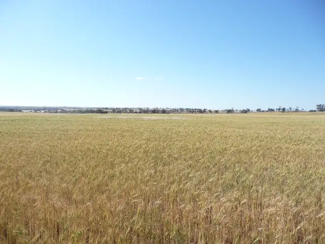 Main view of Homely rural property listing, Lot 801 Parker Road, York WA 6302