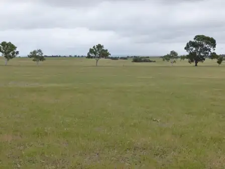Fifth view of Homely rural property listing, 2347 Gillingarra West Road, Dandaragan WA 6507