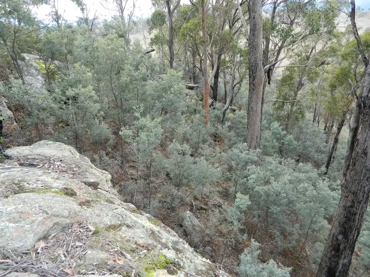 Main view of Homely land listing, 0 Bluff Road, Elderslie TAS 7030