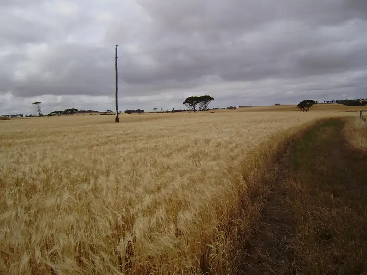 Second view of Homely rural property listing, 443 Height Road, Wagin WA 6315