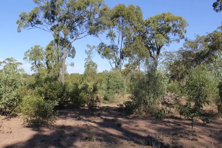 Seventh view of Homely rural property listing, 48 Glencoe, Coverty QLD 4613