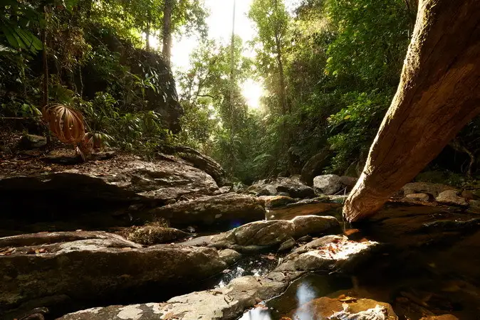 Third view of Homely land listing, Address available on request