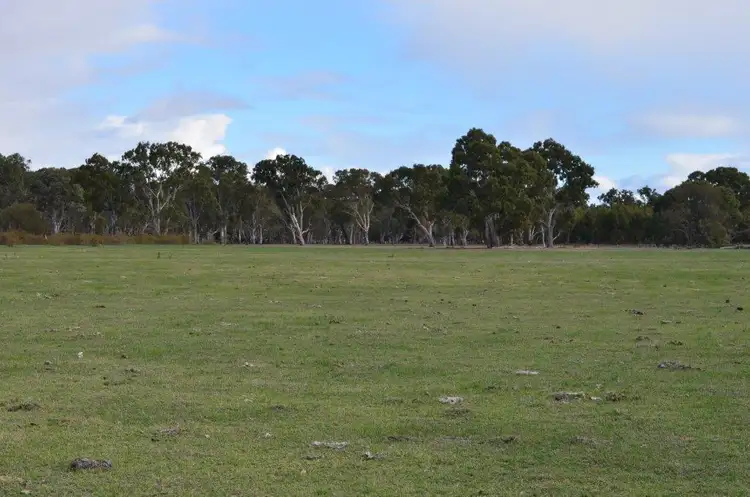 Fifth view of Homely rural property listing, Lot 277 & 306 Skinner Road, Penola SA 5277