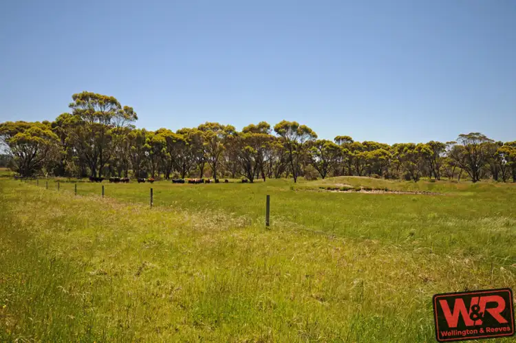 Fifth view of Homely rural property listing, 5259 Waterman Road, Mount Barker WA 6324