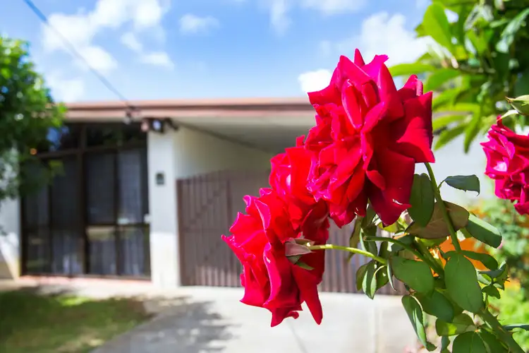 Main view of Homely house listing, 56 Gilbertson Road, Kardinya WA 6163