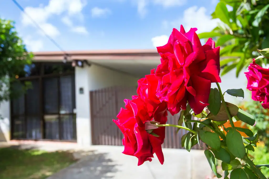 Main view of Homely house listing, 56 Gilbertson Road, Kardinya WA 6163