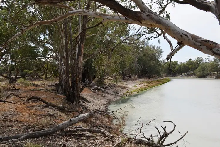 Seventh view of Homely land listing, Lot 3 Low Darling Road, Wentworth NSW 2648