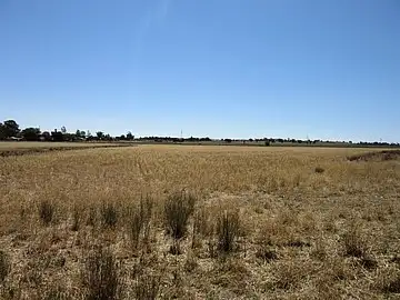 Fifth view of Homely rural property listing, Lot 2 'Alvin' Ridge Street, Attunga NSW 2345