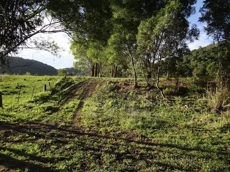Fifth view of Homely rural property listing, 199 Hill Road, Mothar Mountain QLD 4570