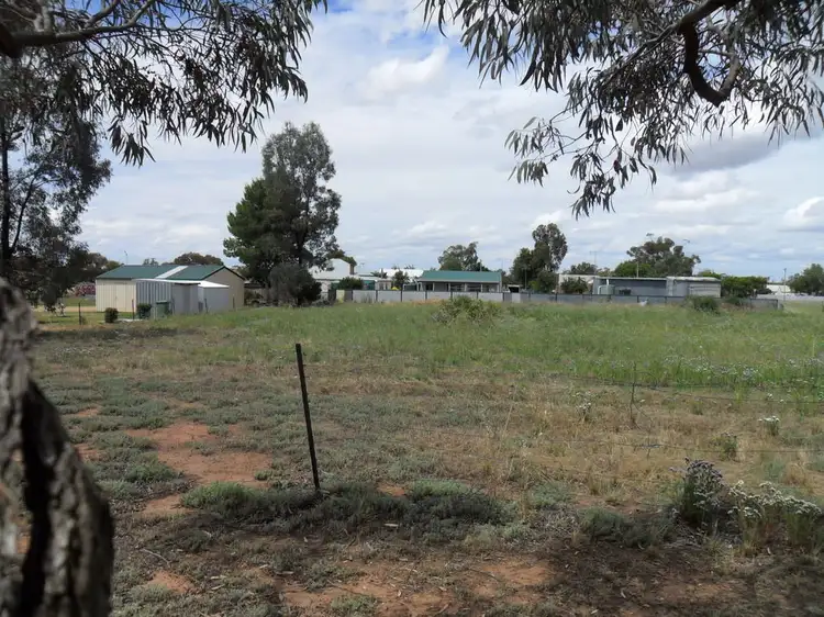 Seventh view of Homely land listing, 9 ROBERTSON STREET, Barmedman NSW 2668