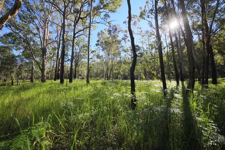 Sixth view of Homely rural property listing, Lot 129 Kangaroo Creek Road, Kangaroo Creek NSW 2460