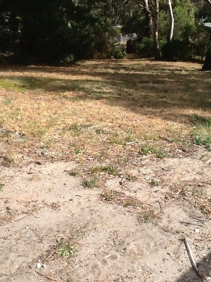 Main view of Homely land listing, 340 Carlton Beach Road, Carlton TAS 7173