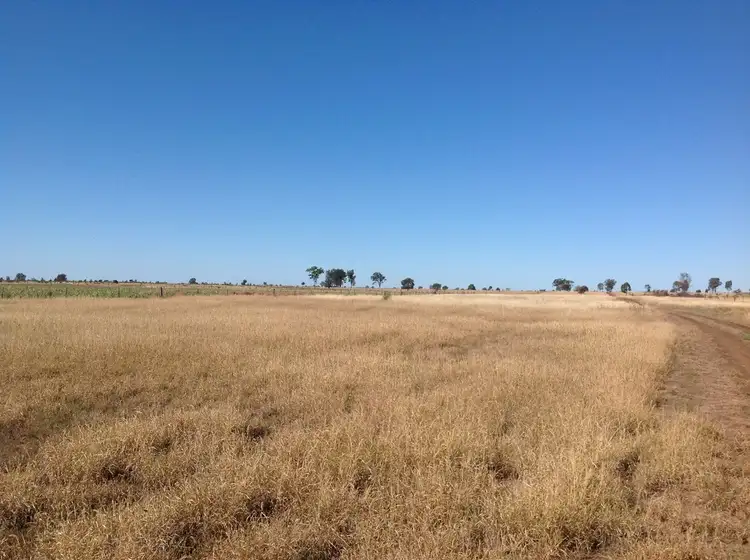 Seventh view of Homely rural property listing, " Wollambi ", Meandarra QLD 4422