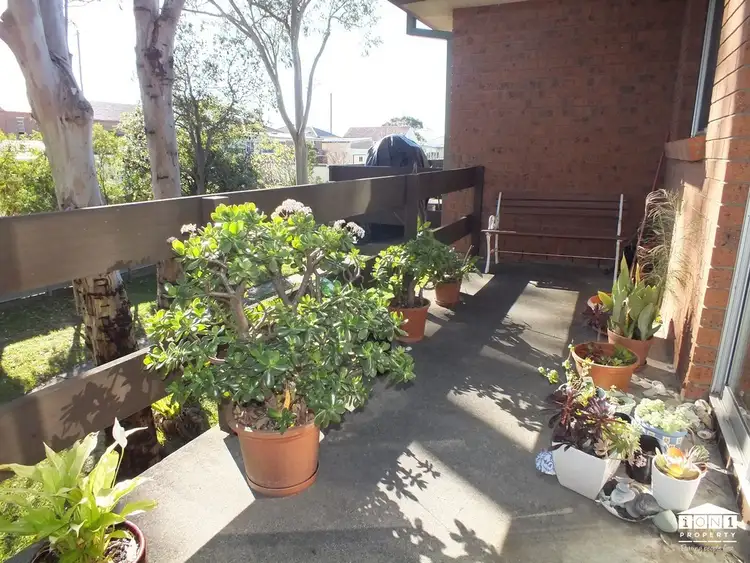Sixth view of Homely unit listing, 8/38 Dickinson Street, Charlestown NSW 2290