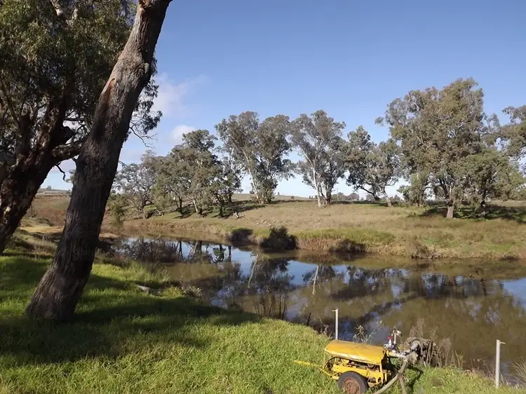 Billabong Binnaway Road, Coonabarabran NSW 2357