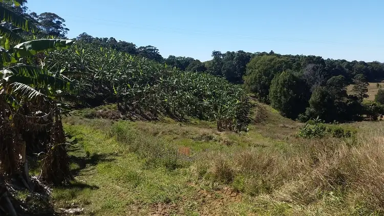Fourth view of Homely rural property listing, 1727 Reserve Creek Road, Cudgera Creek NSW 2484