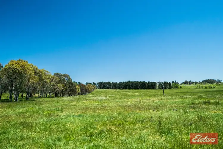 Third view of Homely rural property listing, Address available on request