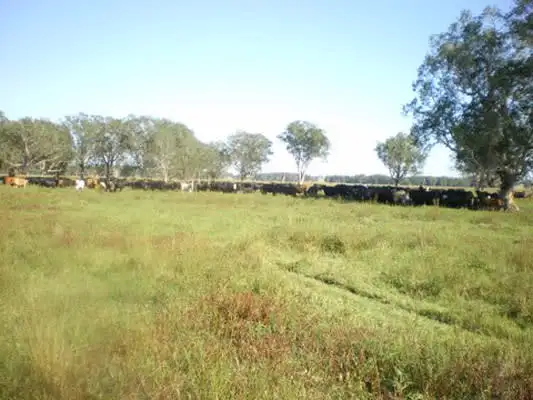 Fourth view of Homely rural property listing, 639 Lagoon Road, Coraki NSW 2471