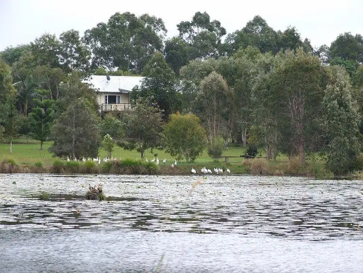 Second view of Homely rural property listing, 639 Lagoon Road, Coraki NSW 2471