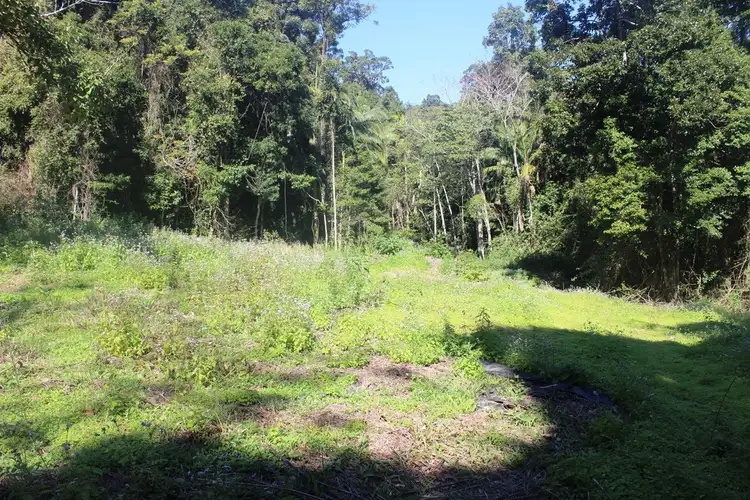Second view of Homely land listing, 361 Schumanns Road, Eungella QLD 4757