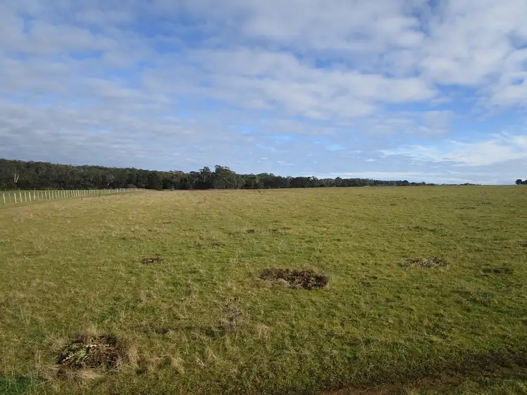 Fifth view of Homely rural property listing, 295 Palmers Road, Latrobe TAS 7307