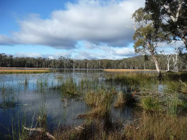 . Chock-N-Log Bay, Lake Leake TAS 7210