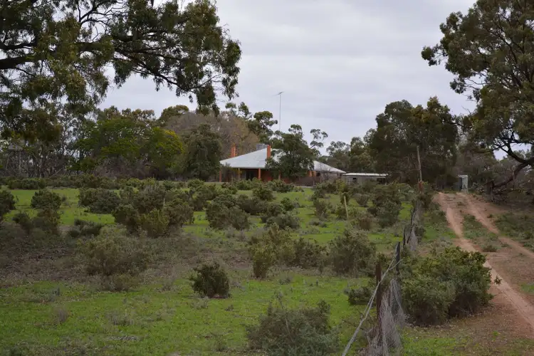 Second view of Homely rural property listing, 4865 Silver City Highway, Wentworth NSW 2648