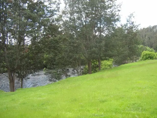 Fifth view of Homely rural property listing, 200 Perrys Road, Forthside TAS 7310