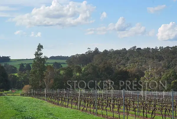 Fifth view of Homely rural property listing, 13 Mitchell Road, Rosa Brook, Margaret River WA 6285