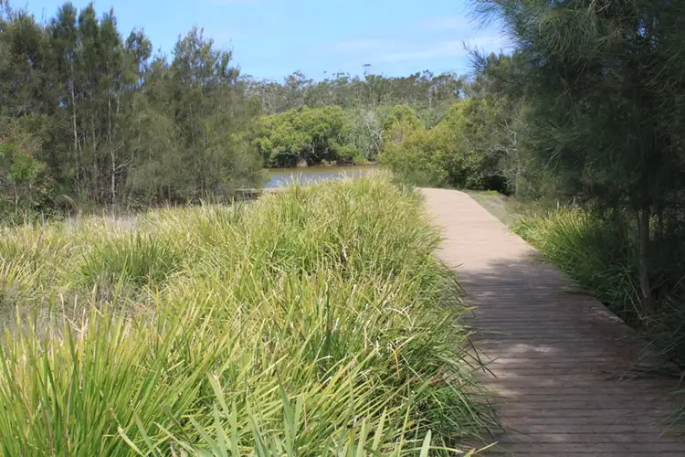 Seventh view of Homely land listing, Lot 429,189 Overall Drive, Pottsville NSW 2489