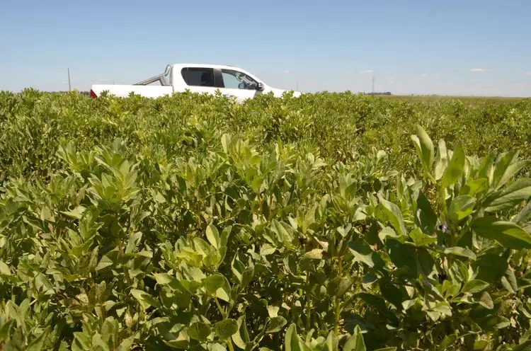 lot 157 Mcinness Lane, Naracoorte SA 5271