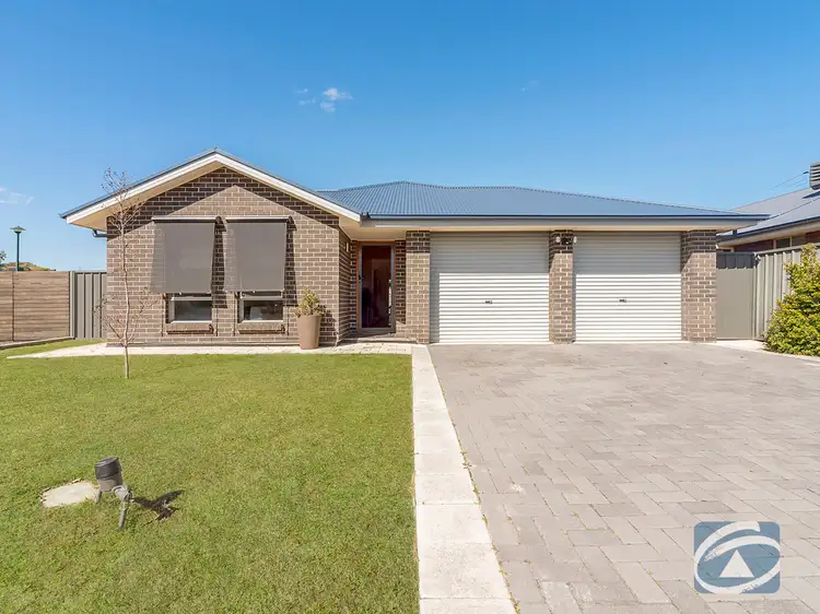 Main view of Homely house listing, 12 Pinot Crescent, Nuriootpa SA 5355