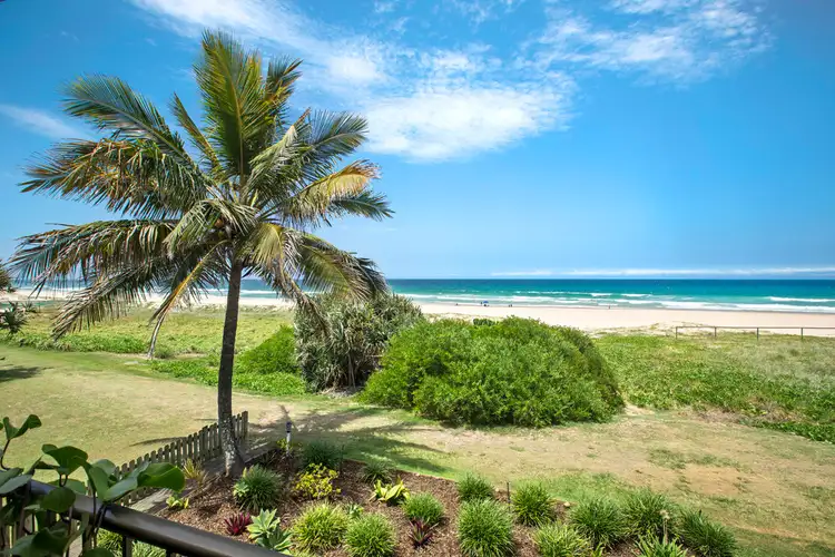 Main view of Homely unit listing, 5/1495 Gold Coast Highway, Palm Beach QLD 4221