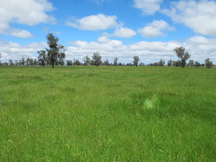 Seventh view of Homely rural property listing, 175 Noradjuha Tooan East Road, Horsham VIC 3400