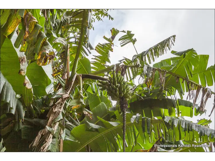 Seventh view of Homely land listing, Lot 97 - 2-16 St Bernard Street, Tamborine Mountain QLD 4272