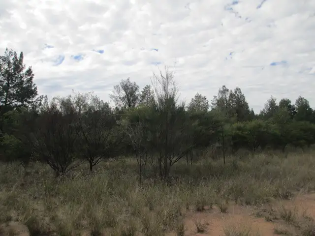 Third view of Homely rural property listing, LOT 35 BISLEY ROAD, Tara QLD 4421