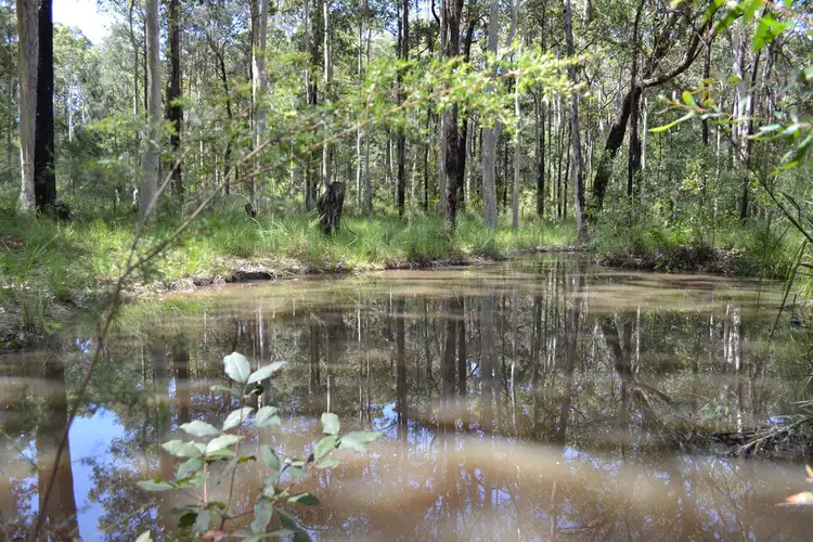 Seventh view of Homely land listing, Lot 121 Inglewood Crescent, Jerberra Estate, Tomerong NSW 2540