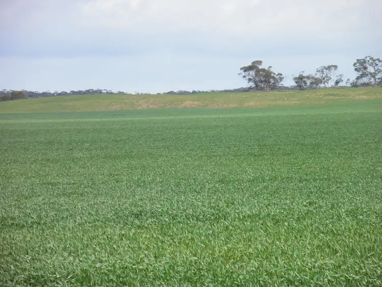 Seventh view of Homely rural property listing, Secs 18 & 19 Hd of Mindarie & Sec 158 Hd of Allen, Wanbi SA 5310