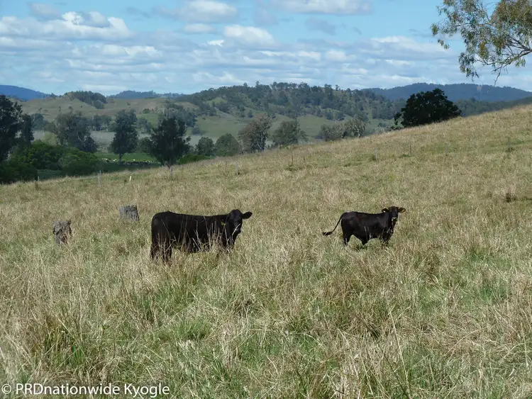 Seventh view of Homely land listing, Lot 291 Applegum Road, Kyogle NSW 2474