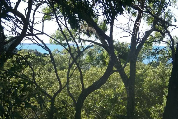 11 Beelong St, Macleay Island QLD 4184