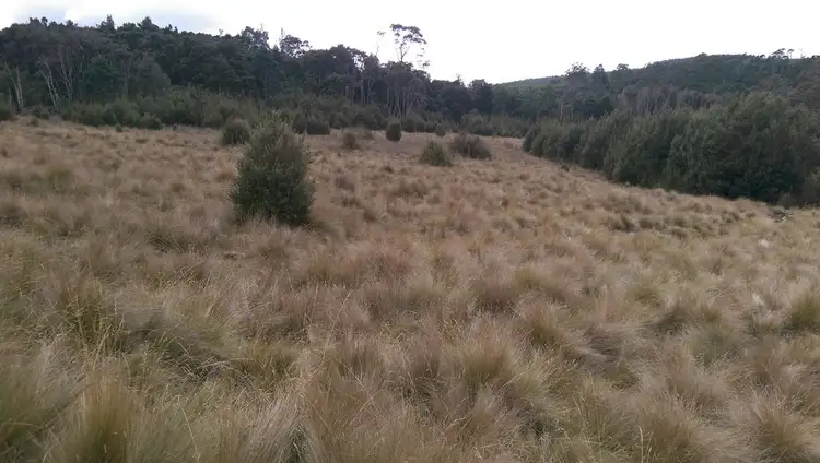 Third view of Homely rural property listing, lot 22822-600 Mt Barrow Road, Nunamara TAS 7259