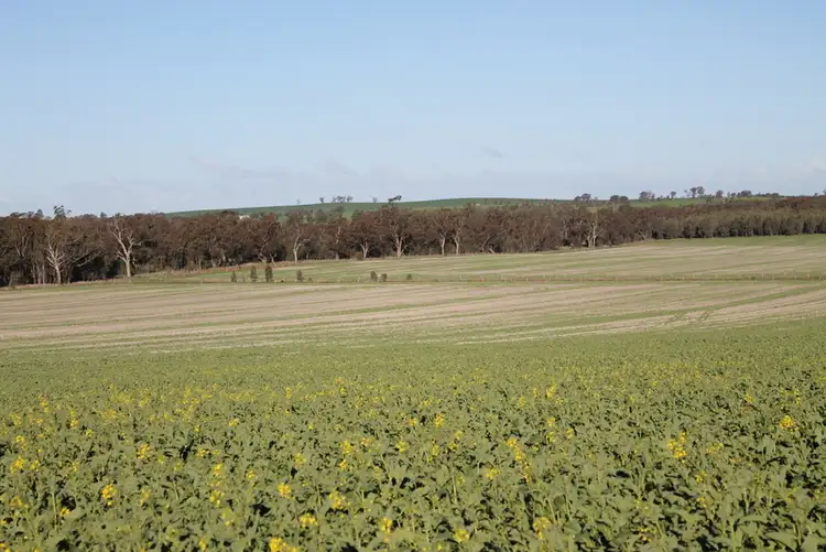 Sixth view of Homely rural property listing, - Ohau, Wagga Wagga NSW 2650