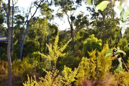Third view of Homely land listing, 18 (Lot 80) Holly Place, Cowaramup WA 6284