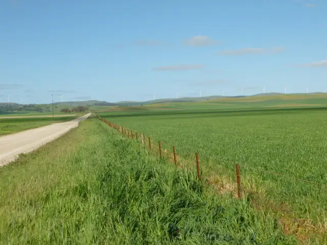 Sixth view of Homely rural property listing, - 'Heathermoore', Spalding SA 5454