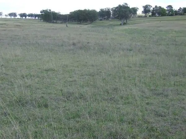 Main view of Homely land listing, 633 Yetman Road, Inverell NSW 2360